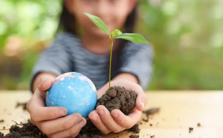  Una ayuda al Medio Ambiente